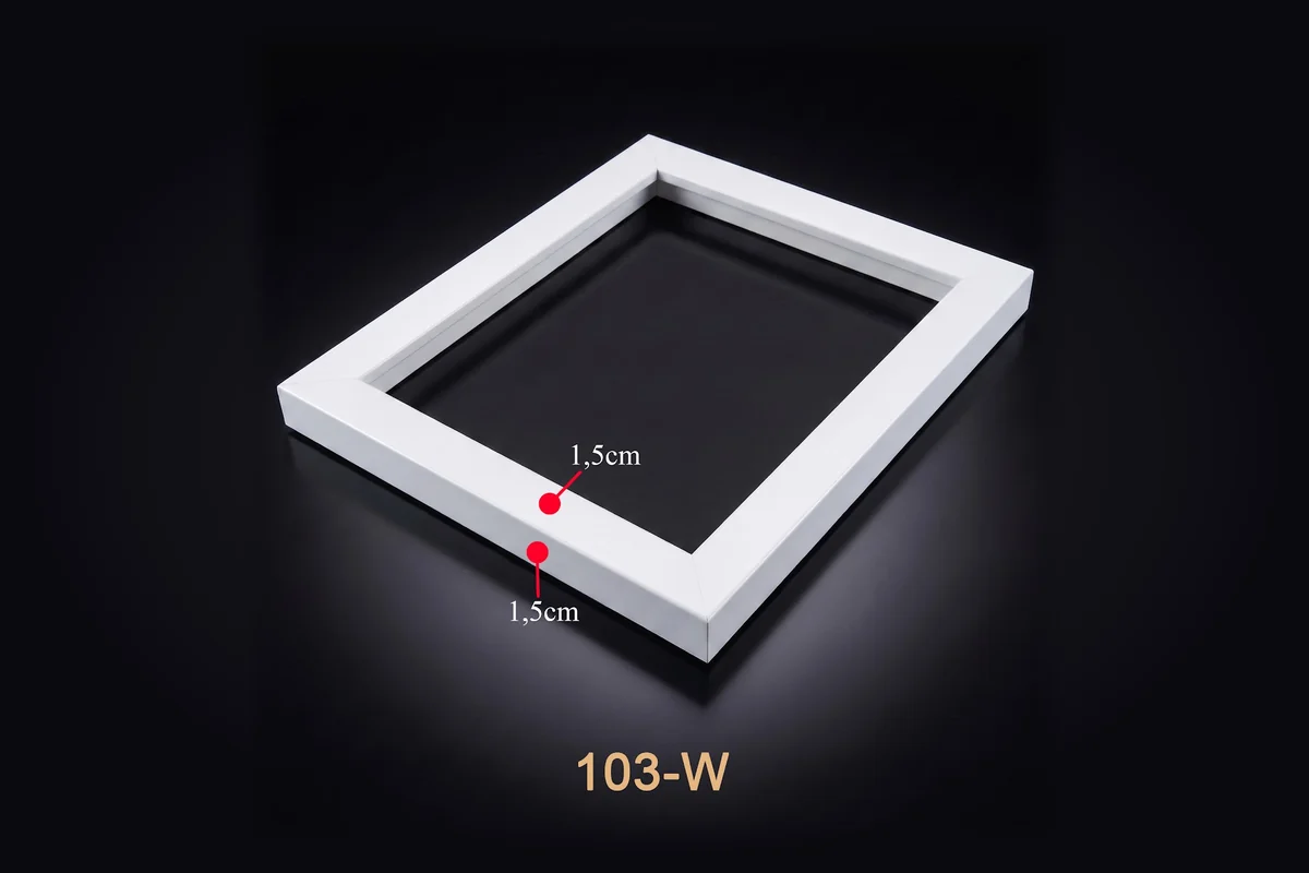 Khung tranh trắng mảnh mã 103-W với thông số mặt cắt minh họa.