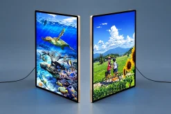 Hai khung tranh đèn LED dọc hiển thị rùa biển và phong cảnh người đi xe đạp.